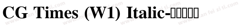 CG Times (W1) Italic字体转换